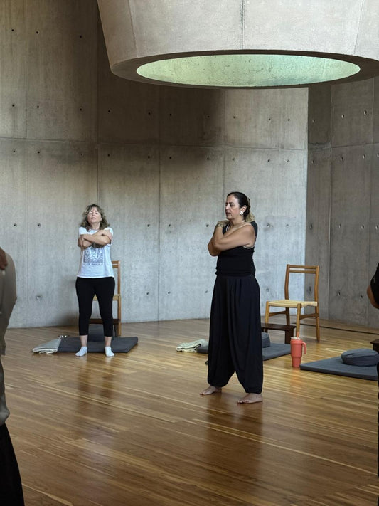 PROGRAMA ZHINENG QI GONG- Meditación Corporativa para equipos