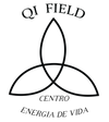 Qi Field