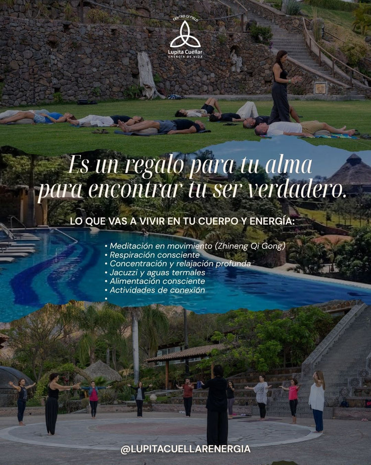 RETIRO ZHINENG QI GONG -LAGO DE CHAPALA 2026 - HAB IND