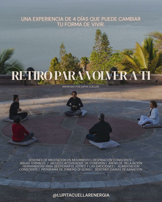RETIRO ZHINENG QI GONG -LAGO DE CHAPALA 2026 - HAB IND